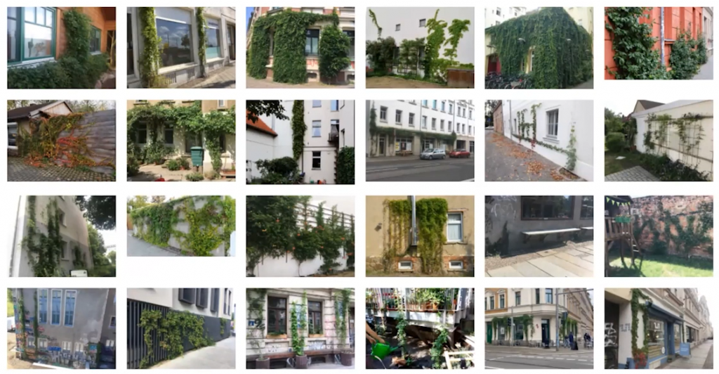 24 Bilder von grünen Fassaden in einem vier mal 6 Grid angelegt.